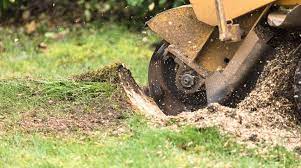 Tree Stump Grinding Gloucestershire